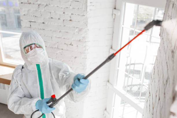 Environmental Consulting for Mold Prevention in Turpin Hills, OH